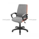 S-542 Trendy Low Back Revolving Chair